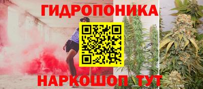 трава Кандалакша