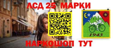 индика Камышлов