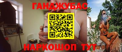 индика Камышлов