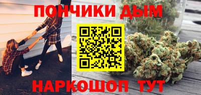 индика Камышлов