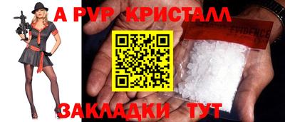 индика Камышлов