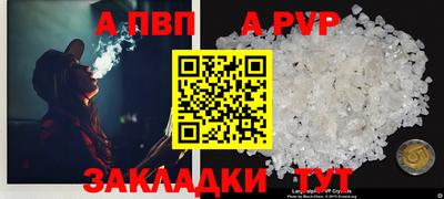 индика Камышлов