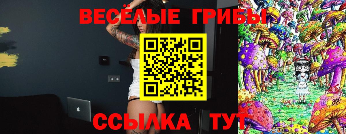 Галлюциногенные грибы Psilocybe  Вход с VPN  Набережные Челны 